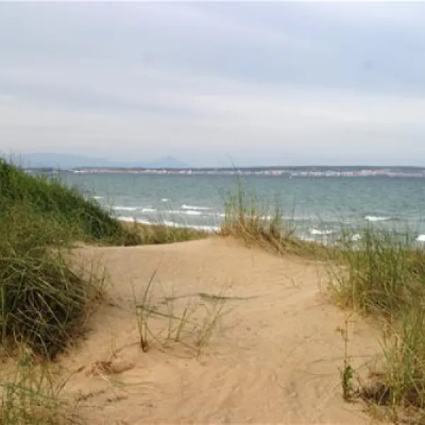 la-marina-camping-resort-la-marina-alicante-rxk72