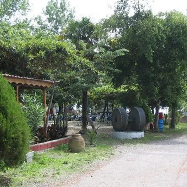 campsite-petalidi-beach-petalidimessinia-9sp5g