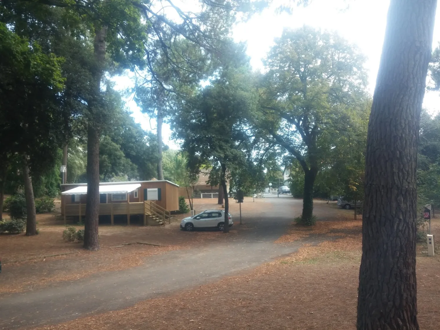 village-center-bois-damour-la-baule-sudrc