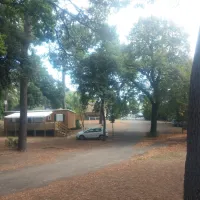 Village Center Bois d