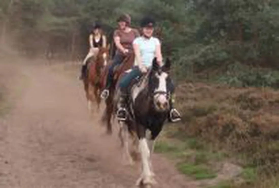 minicamping-meulendijks-heeze-iyuh3