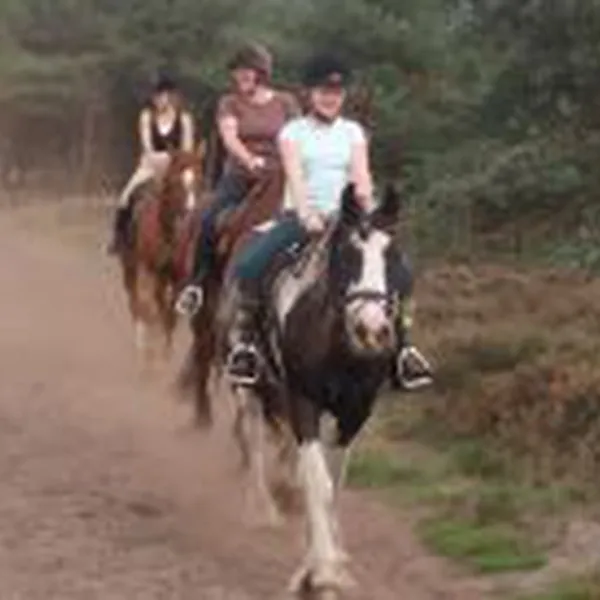 minicamping-meulendijks-heeze-iyuh3