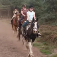 minicamping-meulendijks-heeze-iyuh3