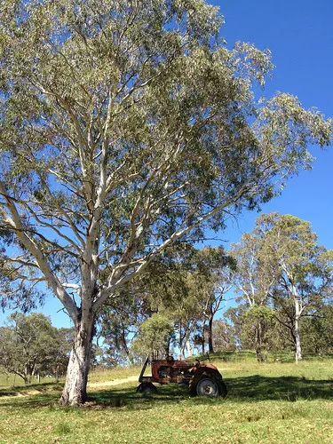 old-ford-reserve-campground-megalong-valley-g7qkb