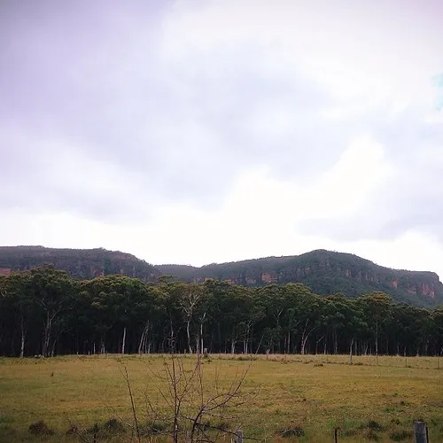 old-ford-reserve-campground-megalong-valley-zngqf