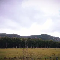 old-ford-reserve-campground-megalong-valley-zngqf