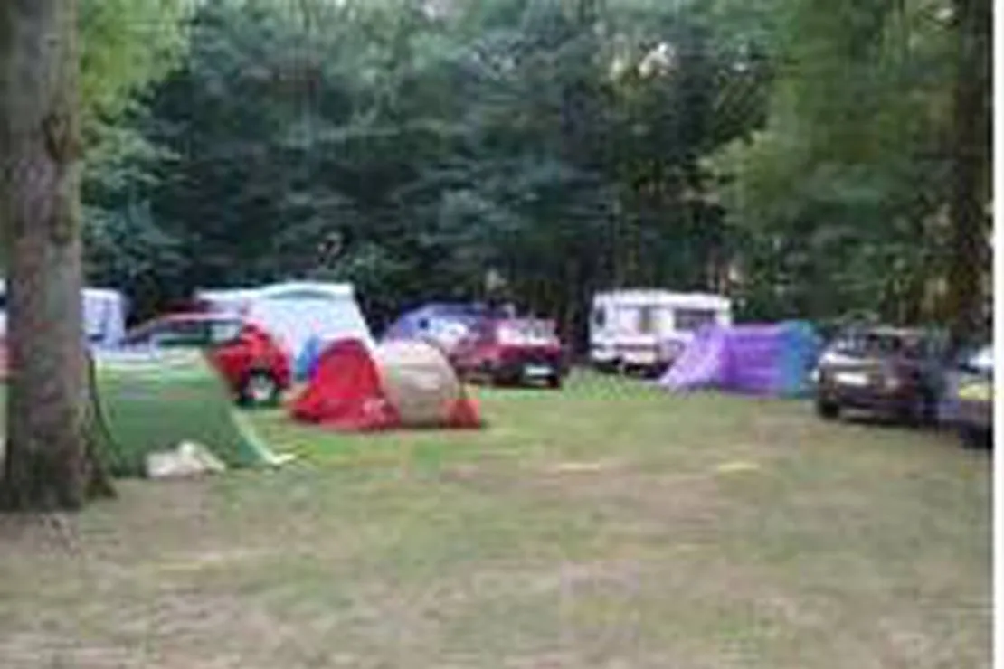 camping-aire-naturelle-de-la-theviniere-geste-4k6iu