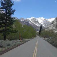 pine-creek-bishop-dtzew