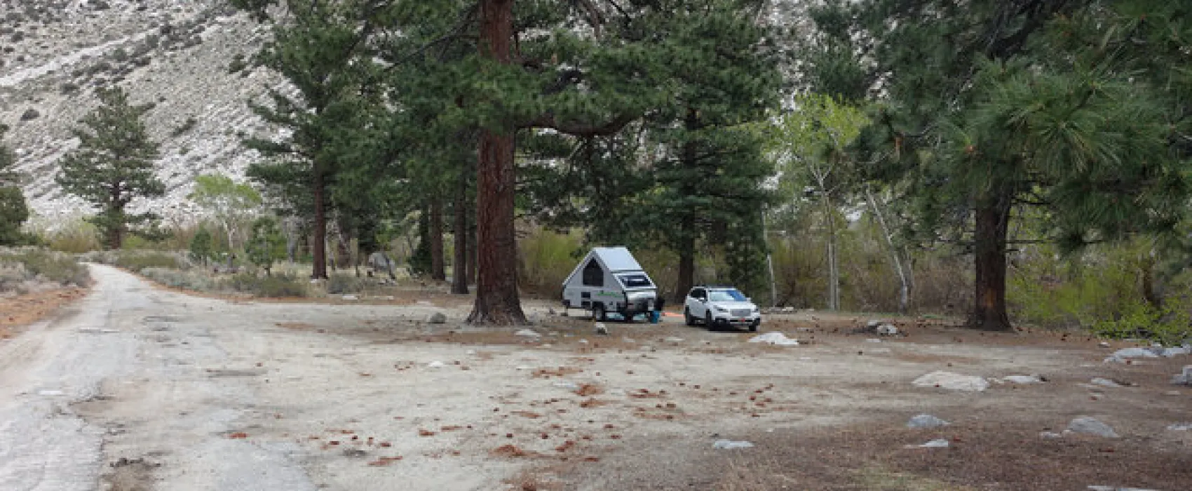 Pine Creek