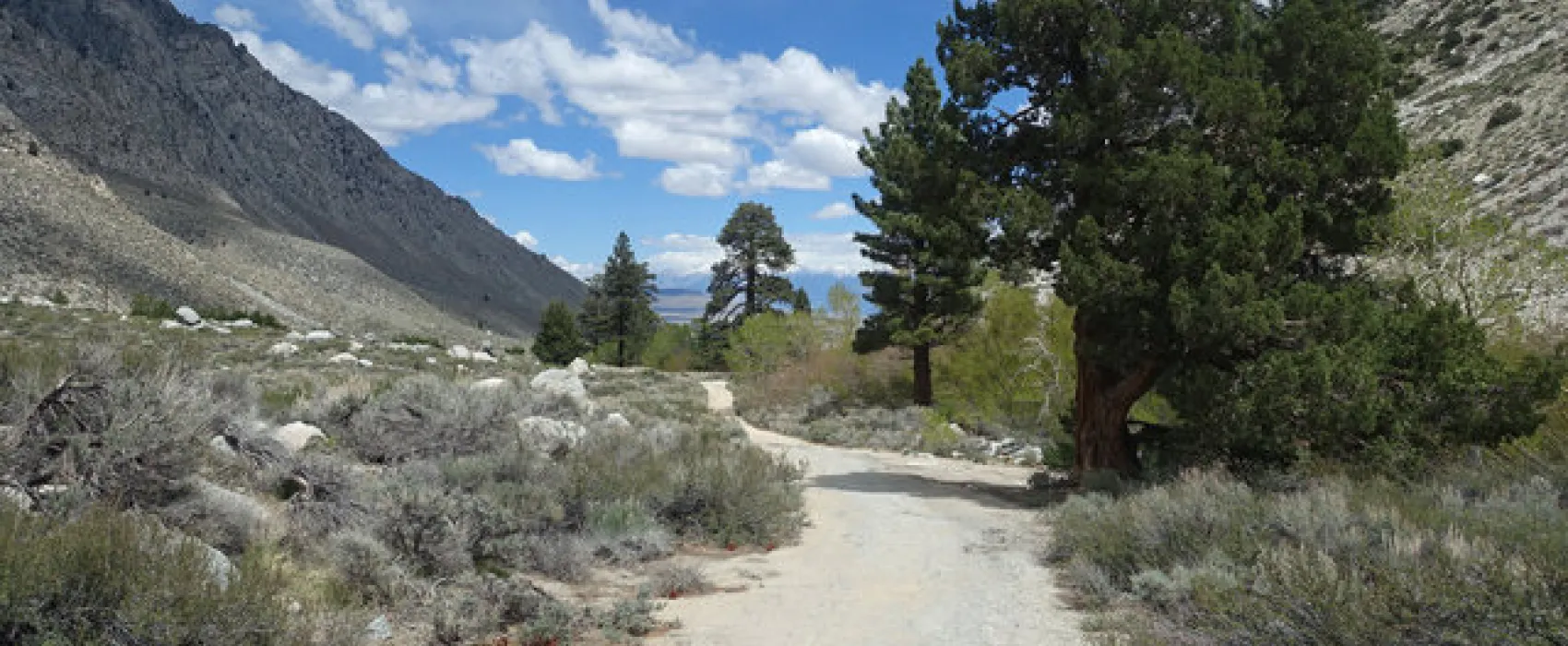 Pine Creek
