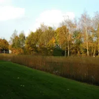 t-nije-hof-stadskanaal-96cfz