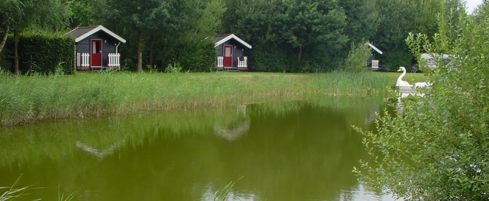 't Nije Hof