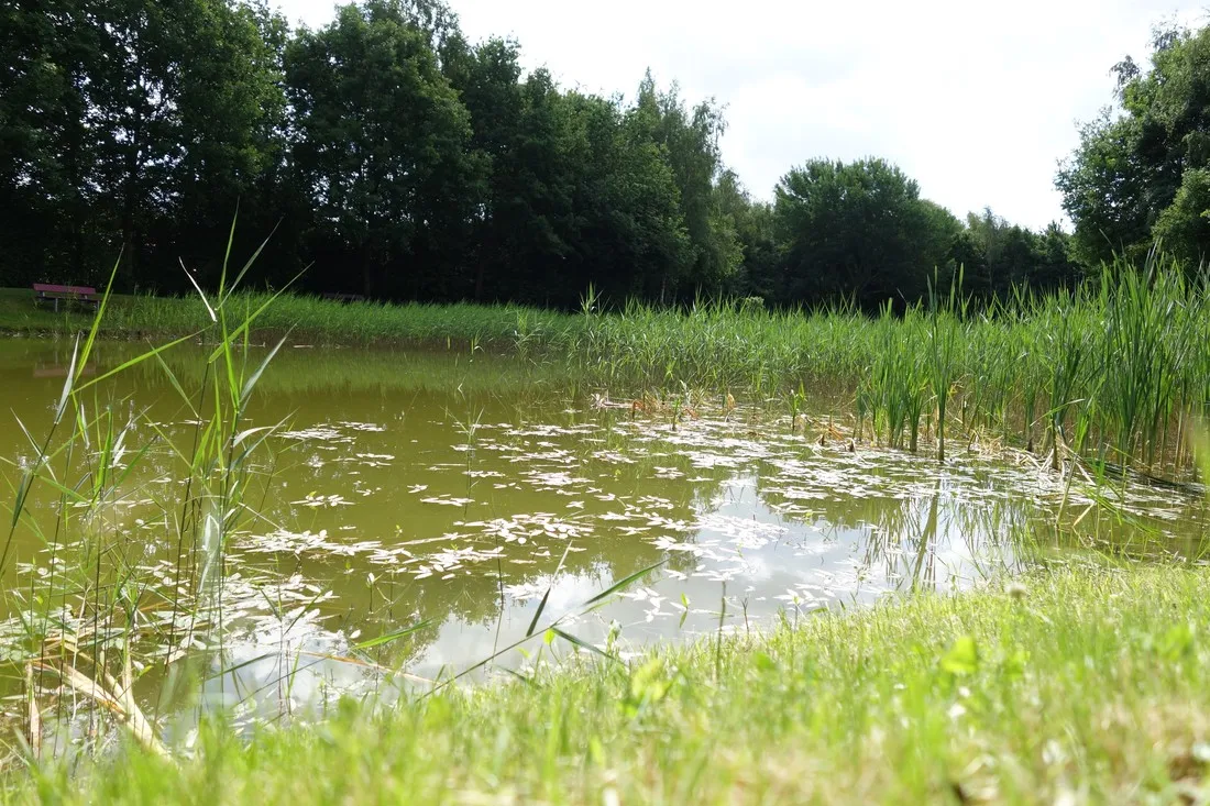 t-nije-hof-stadskanaal-gekpo