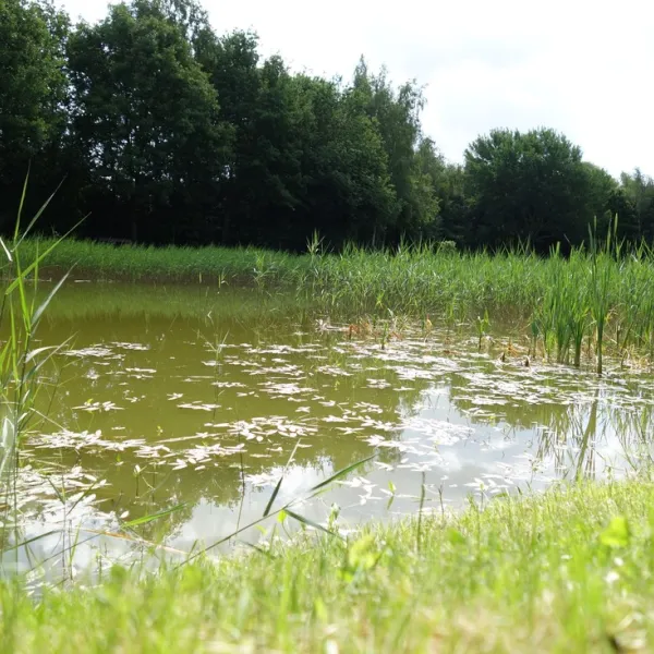 t-nije-hof-stadskanaal-gekpo