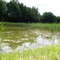 t-nije-hof-stadskanaal-gekpo