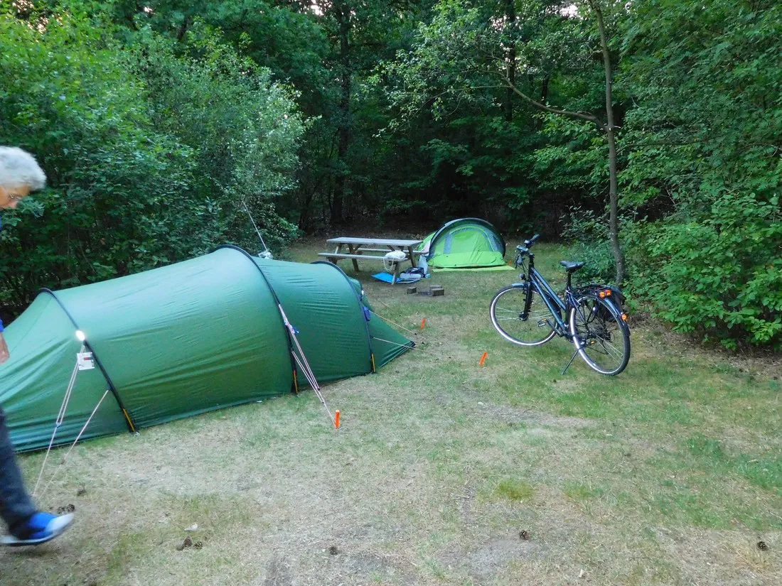 park-de-hoge-veluwe-nederland-gertn