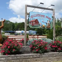 jellystone-park-camp-resort-mammoth-cave-cave-city-xe0wi