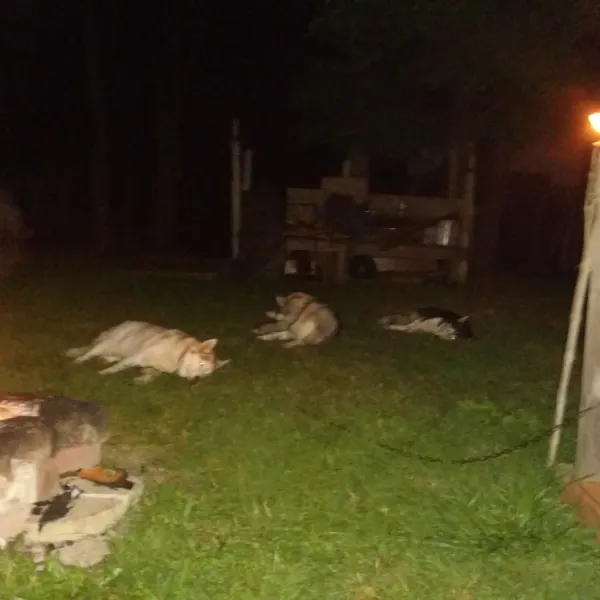 Hickory Lakes Campground