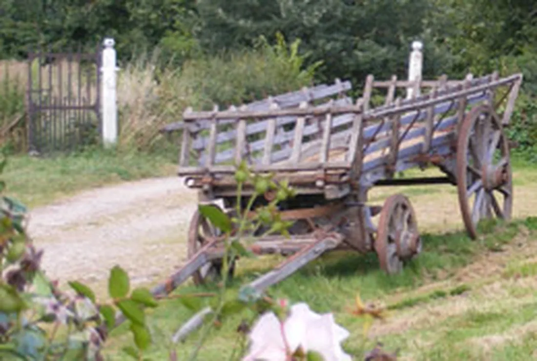 les-busserolles-buxieres-les-mines-allier-kgfcf