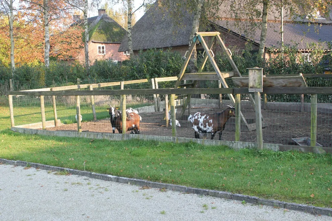 minicamping-t-hoog-helvoirt-qsi7i