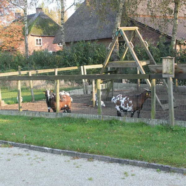 minicamping-t-hoog-helvoirt-qsi7i