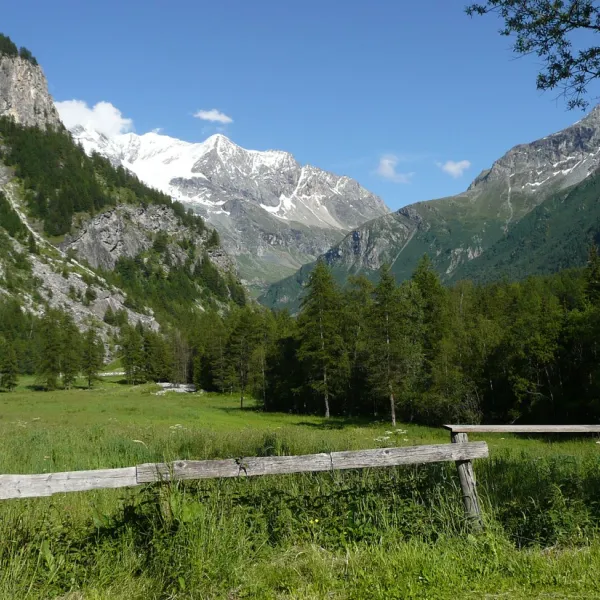 les-lanchettes-peisey-nancroix-fvvmc