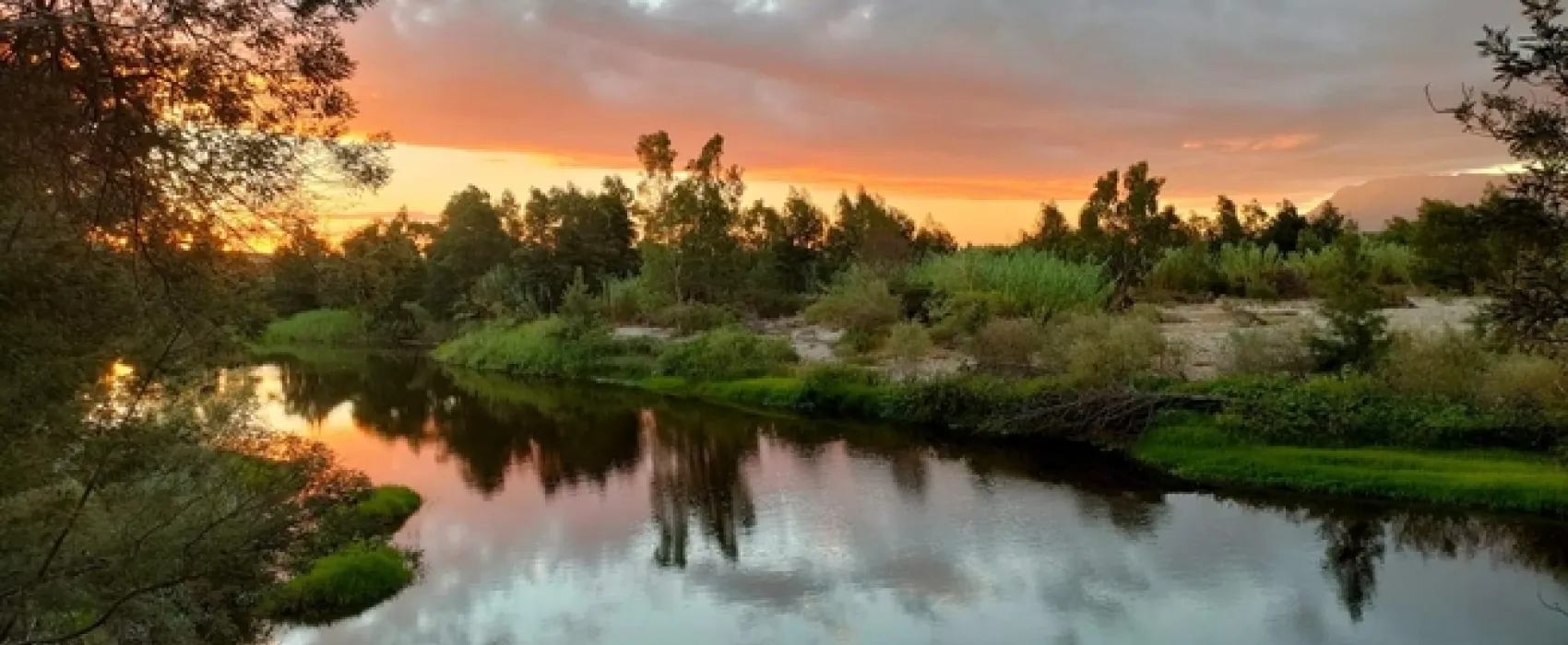 The Gaia Sanctuary