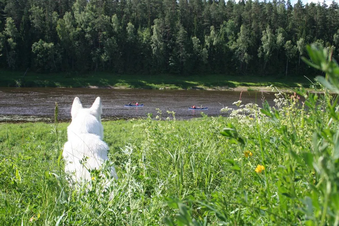 camping-upes-dizvietas-udrisu-pag-kraslavas-nov-vqrw3