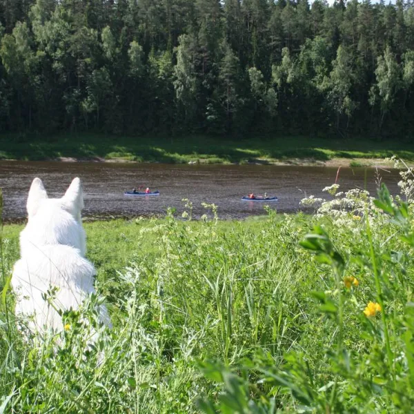 camping-upes-dizvietas-udrisu-pag-kraslavas-nov-vqrw3