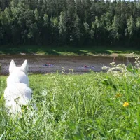 camping-upes-dizvietas-udrisu-pag-kraslavas-nov-vqrw3