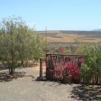 natures-rest-lapa-oudtshoorn-icl91