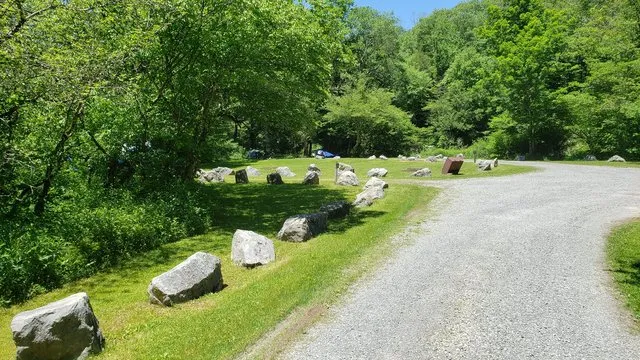 williams-river-designated-campsites-marlinton-qptmj