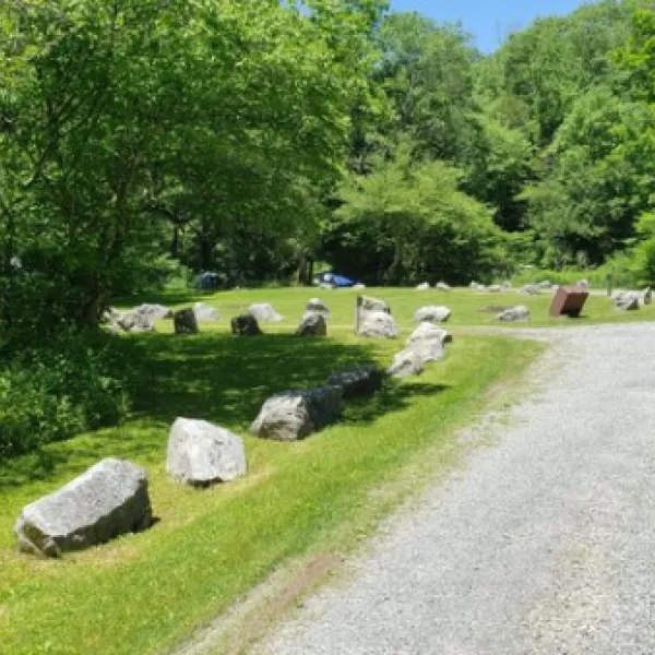 Williams River Designated Campsites