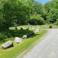 Williams River Designated Campsites