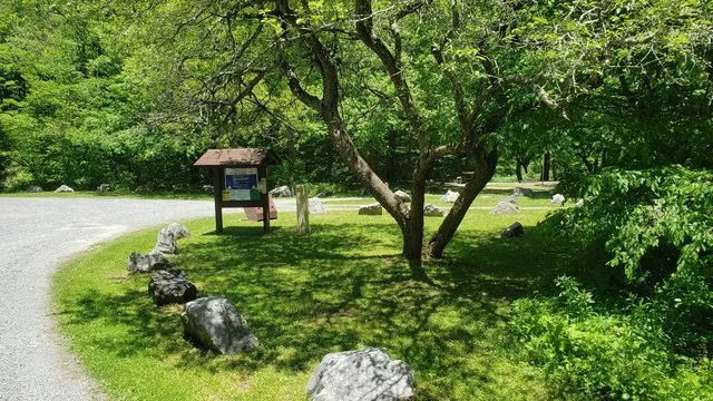 williams-river-designated-campsites-marlinton-y0kfj