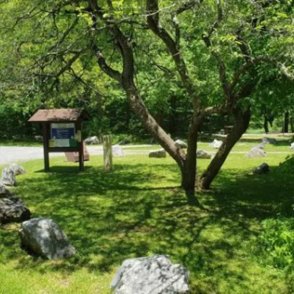 williams-river-designated-campsites-marlinton-y0kfj