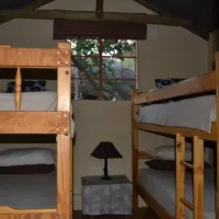 mokolodi-backpackers-pokjp