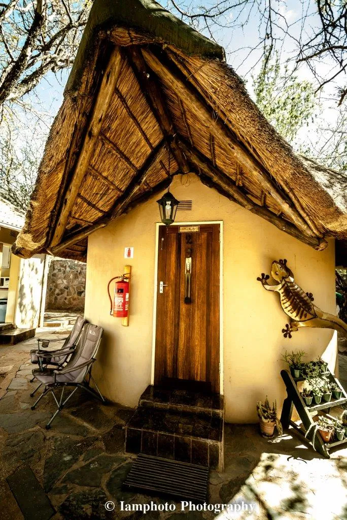mokolodi-backpackers-qlfh3