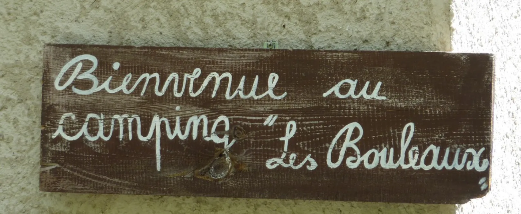 Les Bouleaux