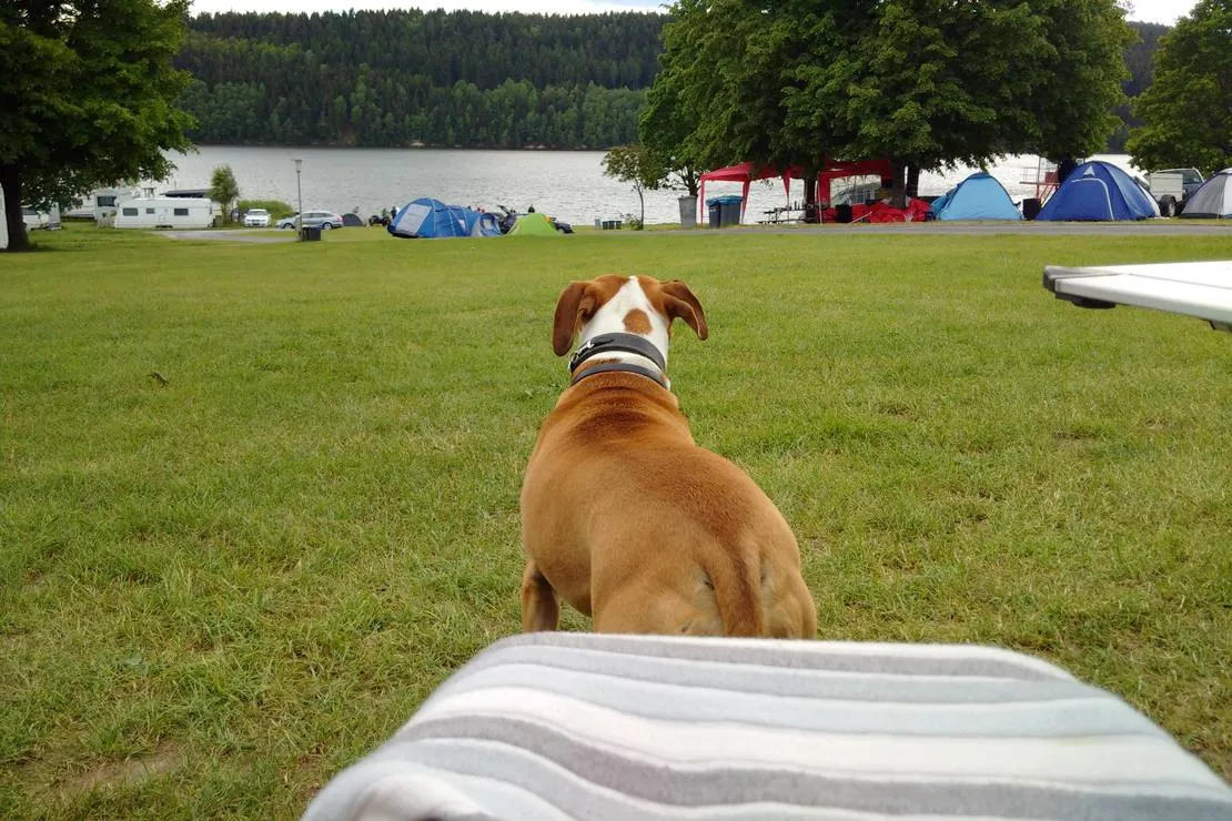 camping-bergsee-ratscher-ratscher-bei-schleusingen-kdgoo