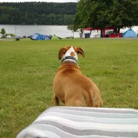 camping-bergsee-ratscher-ratscher-bei-schleusingen-kdgoo