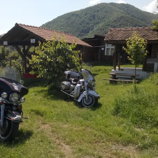 camping-ananas-sibiu-cisndioara-bei-sibiu-cithl
