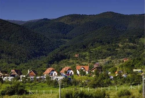 camping-ananas-sibiu-cisndioara-bei-sibiu-s84qm