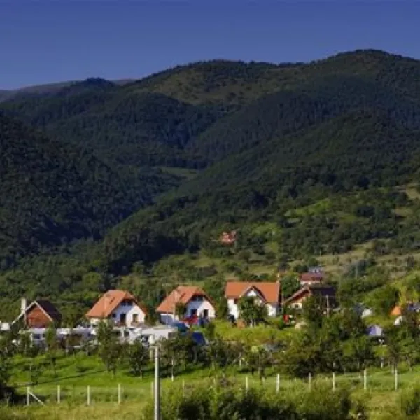 camping-ananas-sibiu-cisndioara-bei-sibiu-s84qm