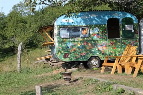 camping-ananas-sibiu-cisndioara-bei-sibiu-thove
