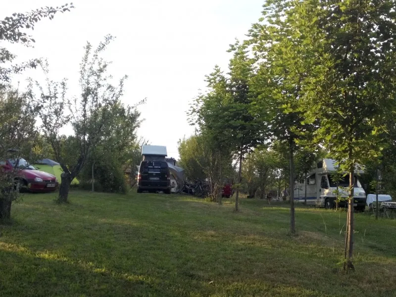 camping-ananas-sibiu-cisndioara-bei-sibiu-xmrj9