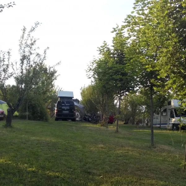 camping-ananas-sibiu-cisndioara-bei-sibiu-xmrj9