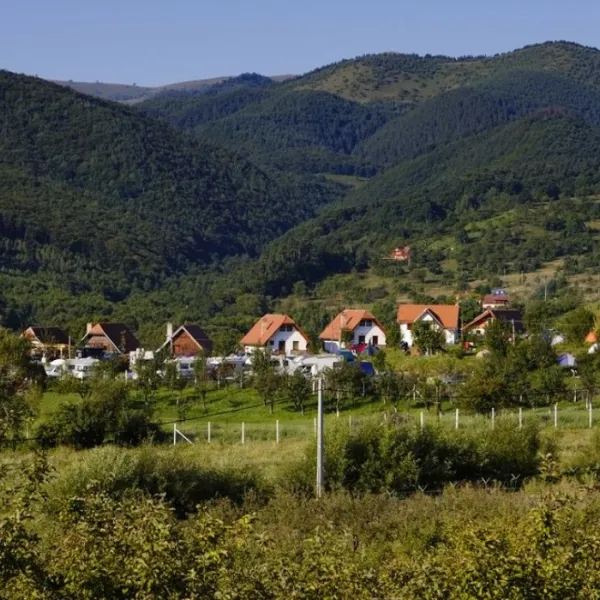 camping-ananas-sibiu-cisndioara-bei-sibiu-zohbh