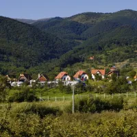 camping-ananas-sibiu-cisndioara-bei-sibiu-zohbh