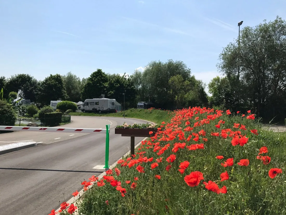 kaiserstuhl-camping-ihringen-airyv